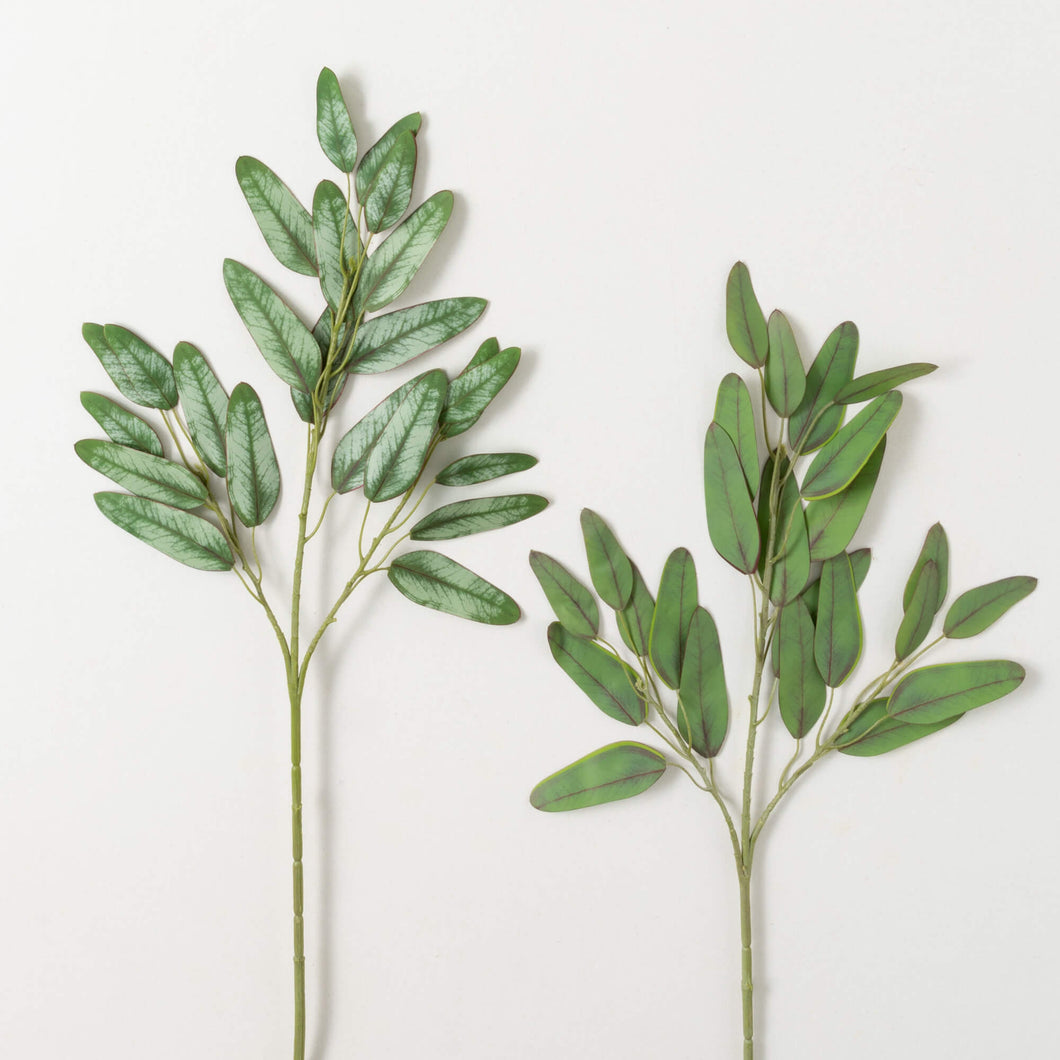 BLADE EUCALYPTUS SPRAY