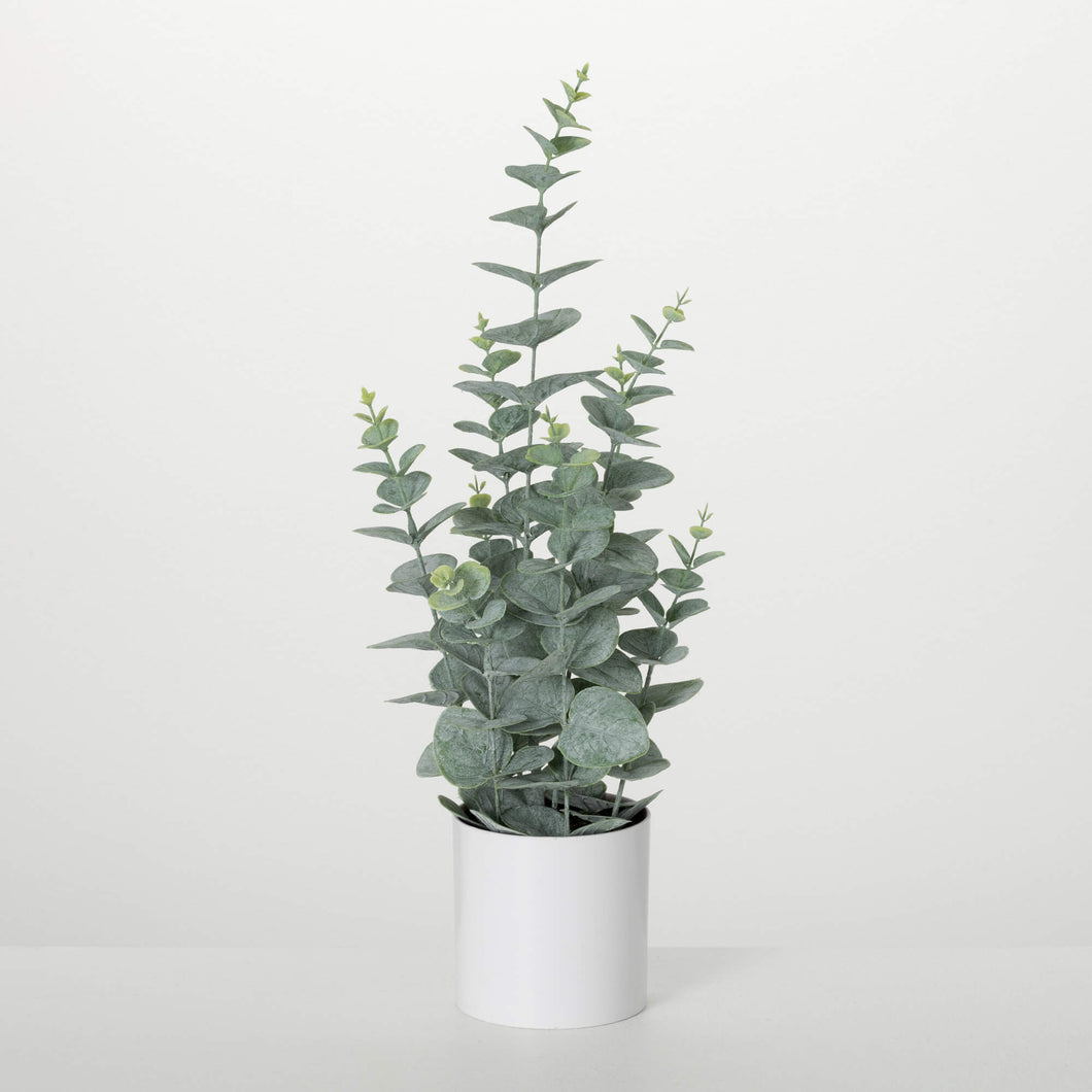 FAUX POTTED EUCALYPTUS BUSH