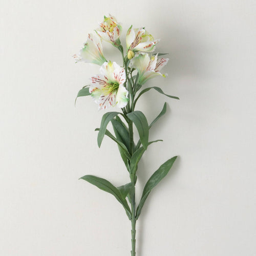 White Alstroemeria Spray