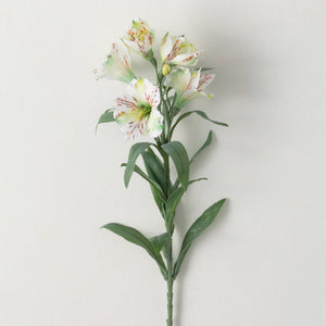 White Alstroemeria Spray