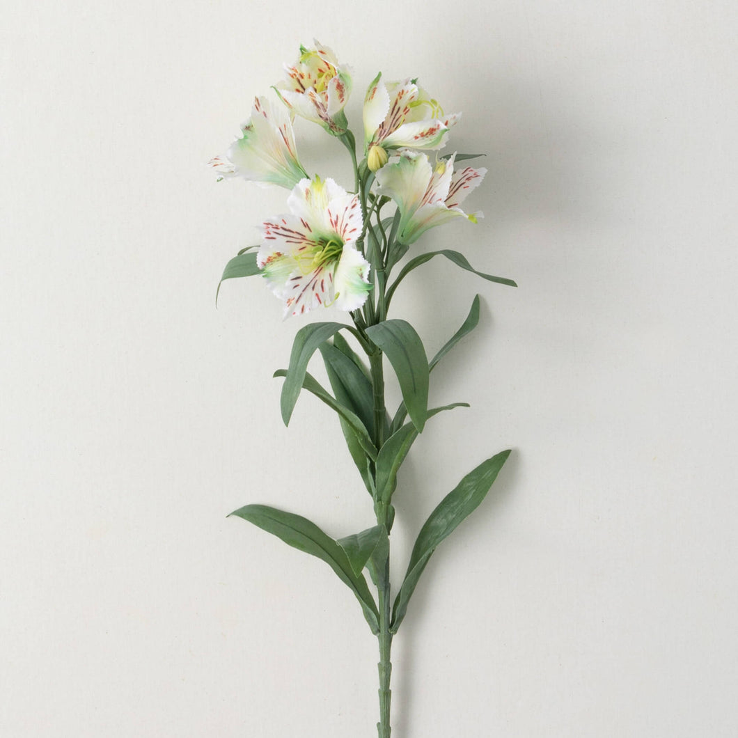 White Alstroemeria Spray