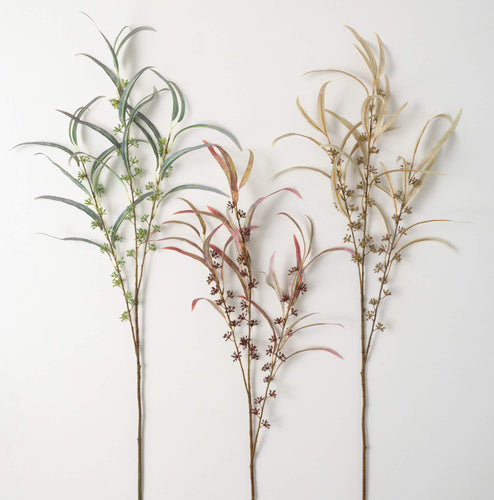 Seed Blade Eucalyptus Spray