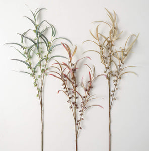 Seed Blade Eucalyptus Spray