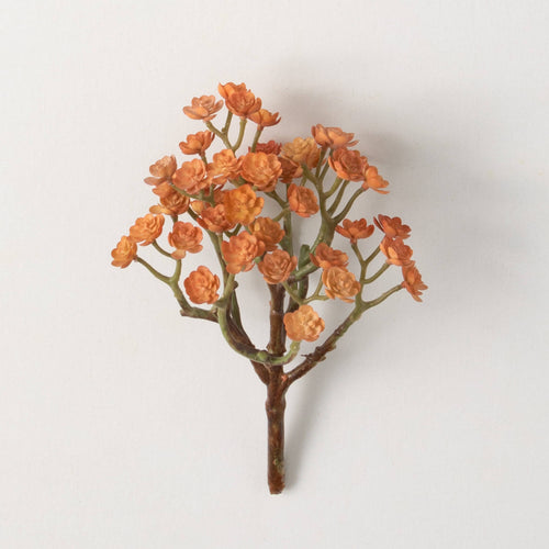 Orange Echeveria Succulent Bush