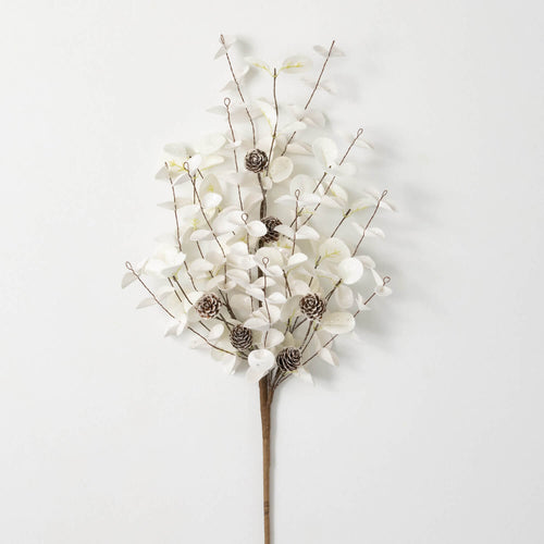 White Eucalyptus/Cone Spray