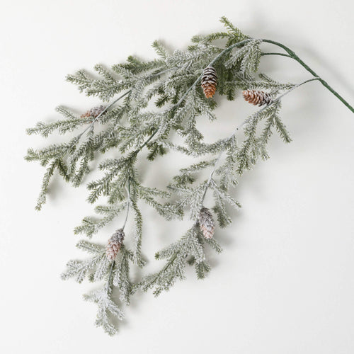 Frosted Winter Pine Branch