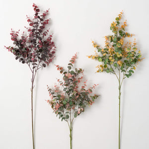 Rich-Hued Eucalyptus Spray
