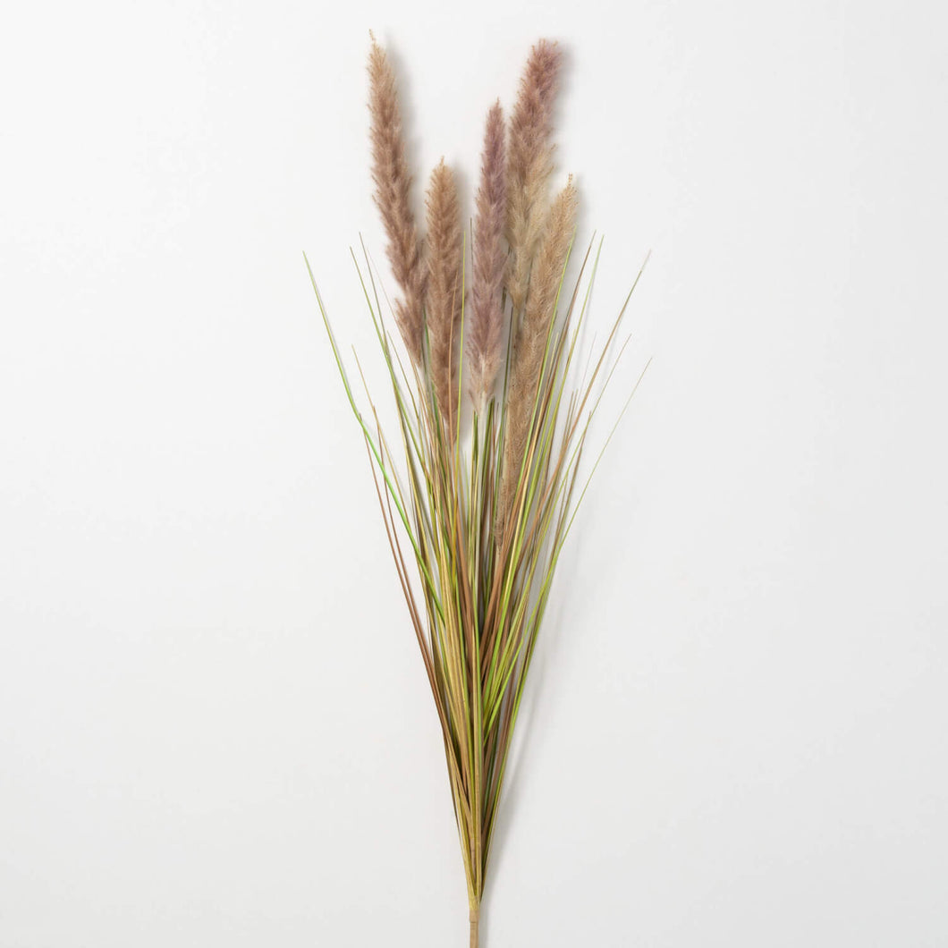 Brown Foxtail Spray