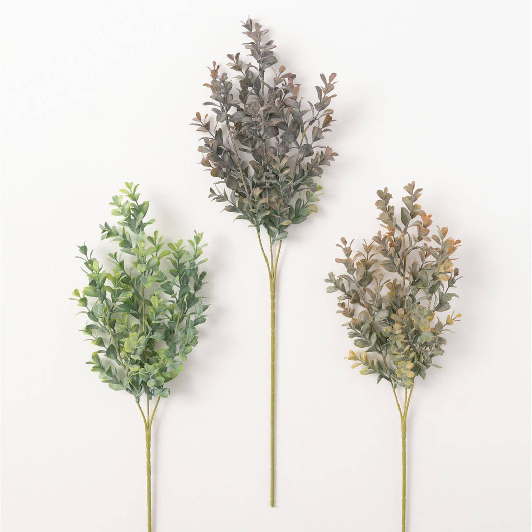 Hedgerow Stems 3 Asst