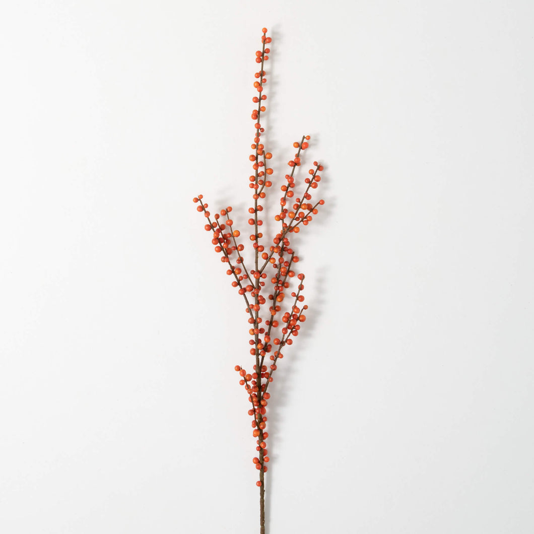 Orange Ilex Berry Spray