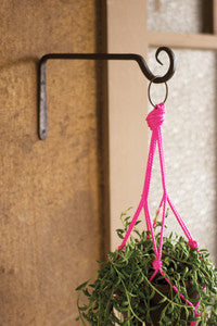 Iron Plant Hook