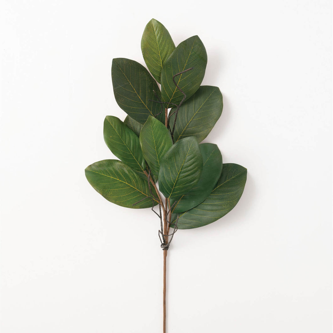 Magnolia Leaf Spray