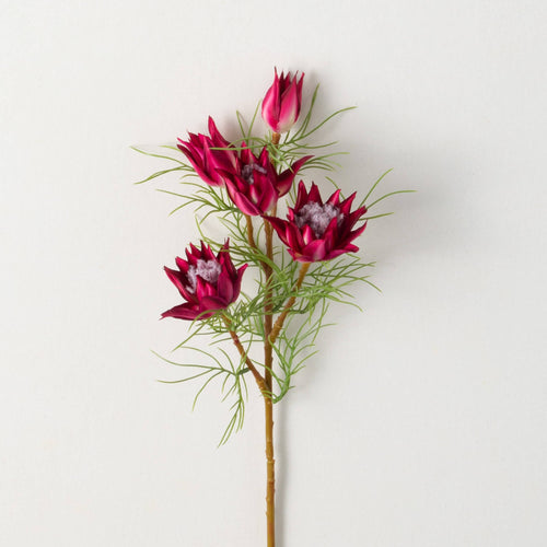 Mini Protea Spray