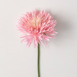 Chrysanthimum Spray