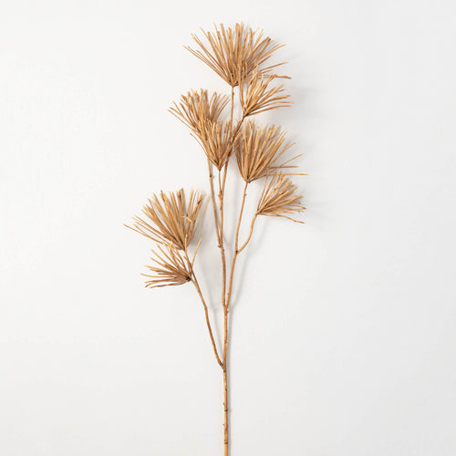 Coco Brown Podocarpus Stem