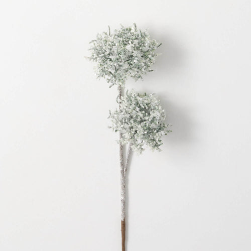 Frosted Queen Anne's Lace Stem