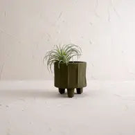 Ramon Planter Green