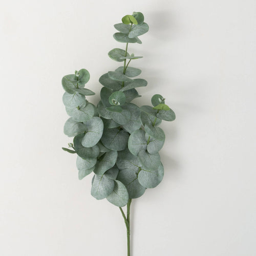Silver Dollar Eucalyptus Spray