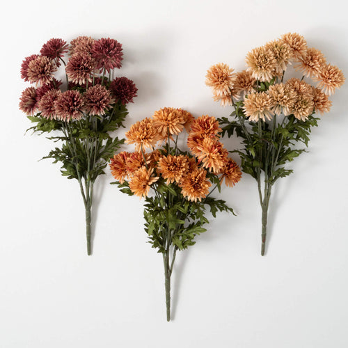 Straw Flower Bush Trio