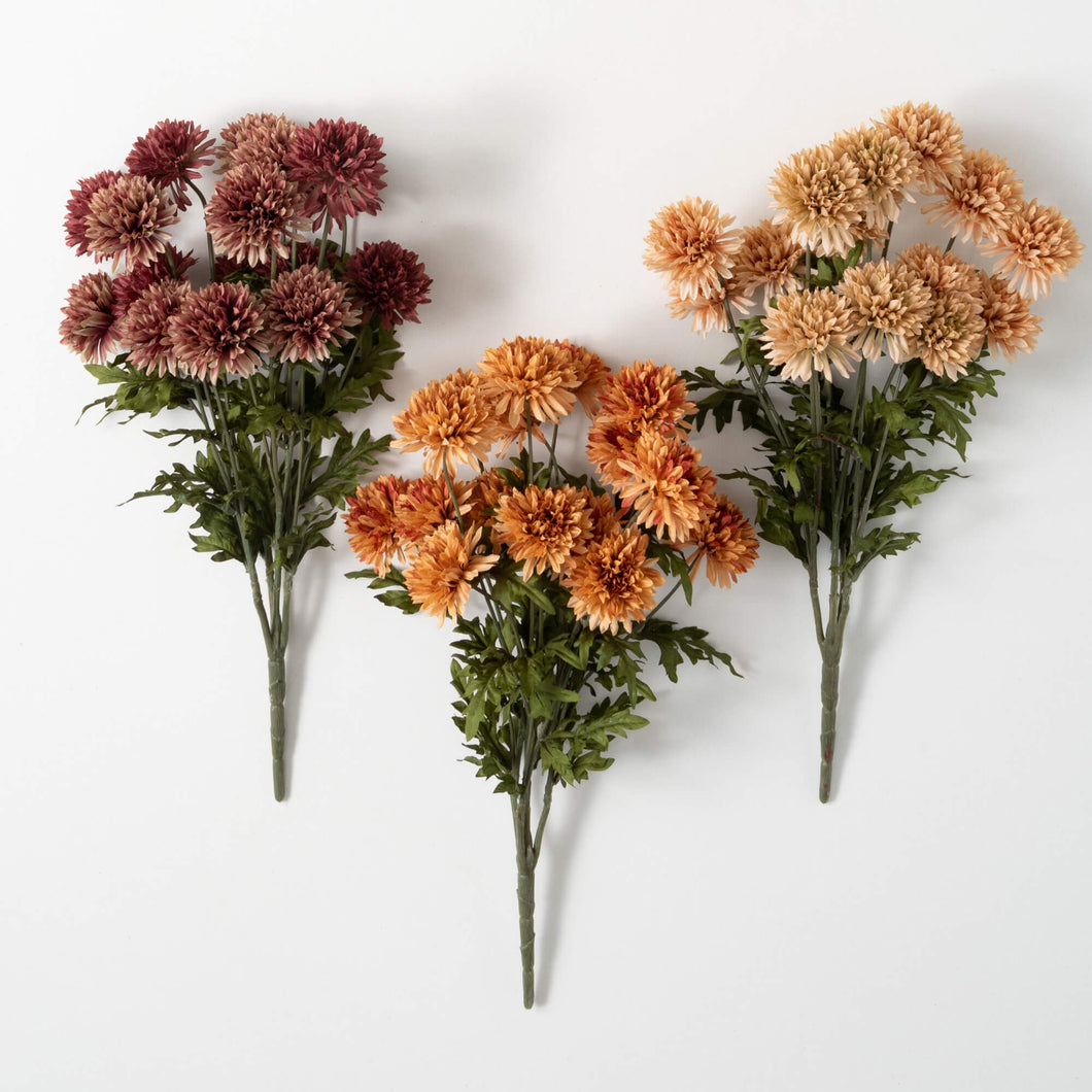 Straw Flower Bush Trio