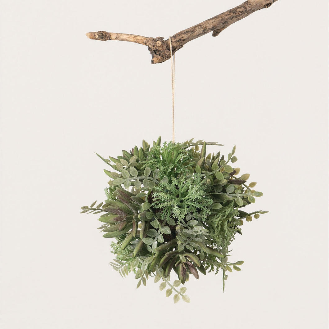 Succulent Mix Orb