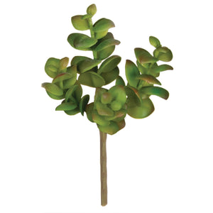 Succulent Pick