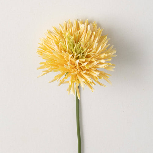 Chrysanthimum Spray