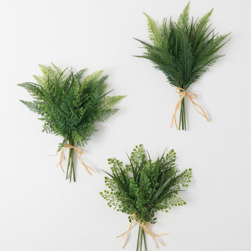 Fern Bush