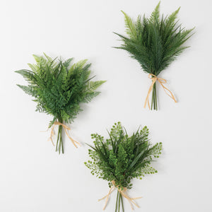 Fern Bush