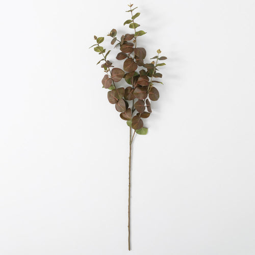 Fall Eucalyptus Stem