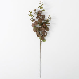 Fall Eucalyptus Stem