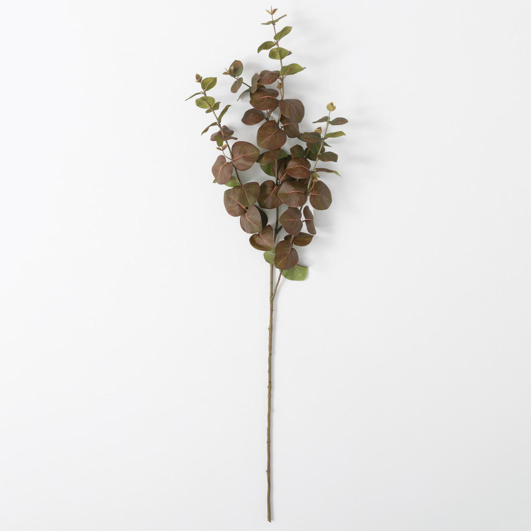 Fall Eucalyptus Stem