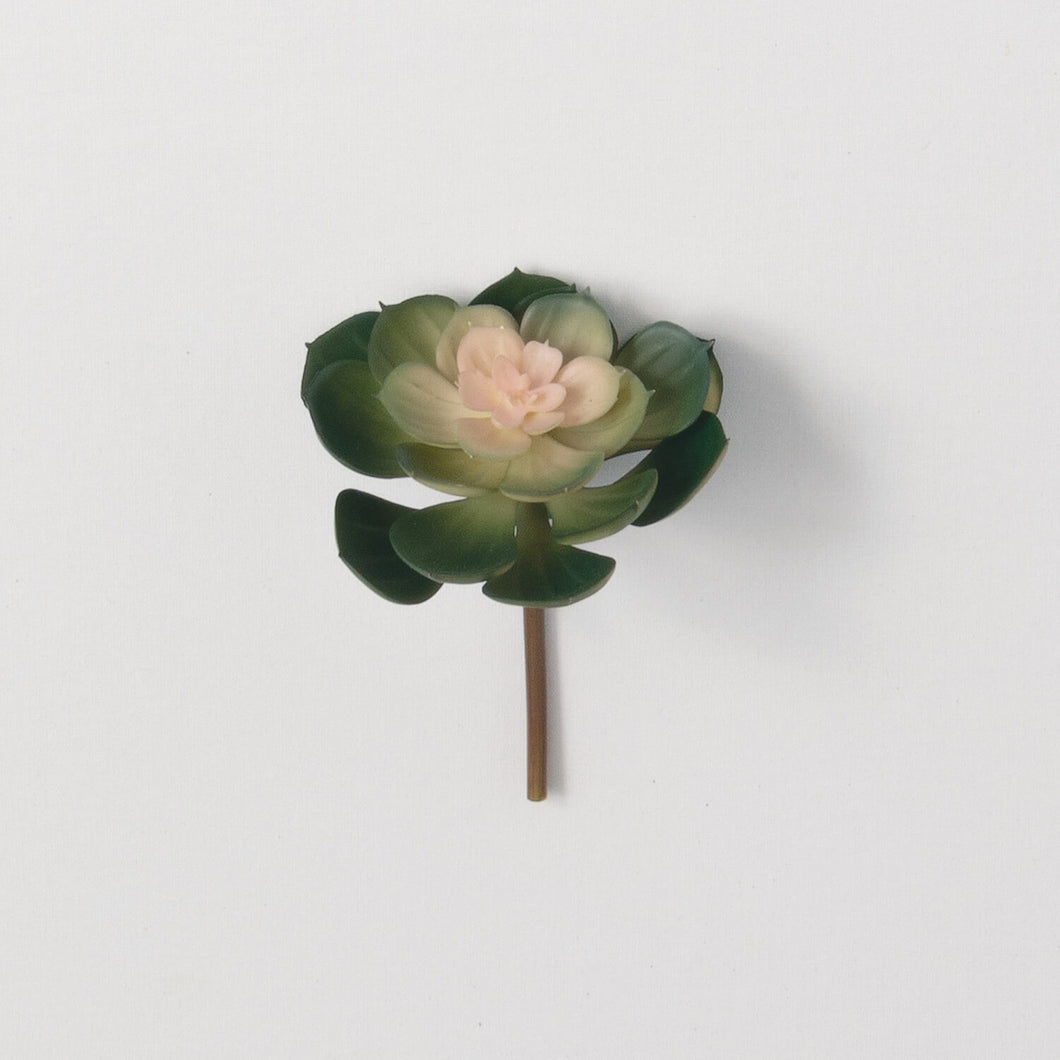 Floral Succulent Pick