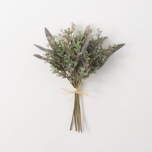 Marjoram Bundle