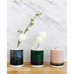 Load image into Gallery viewer, Glaze Bud Vase