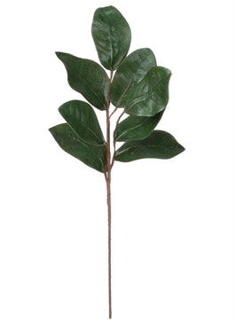 Magnolia Leaf Spray