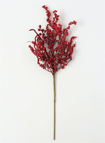 Cranberry Spray