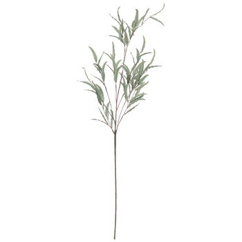 Ash Leaf Spray