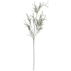 Ash Leaf Spray