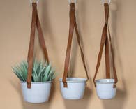 Axl Hanging Planters