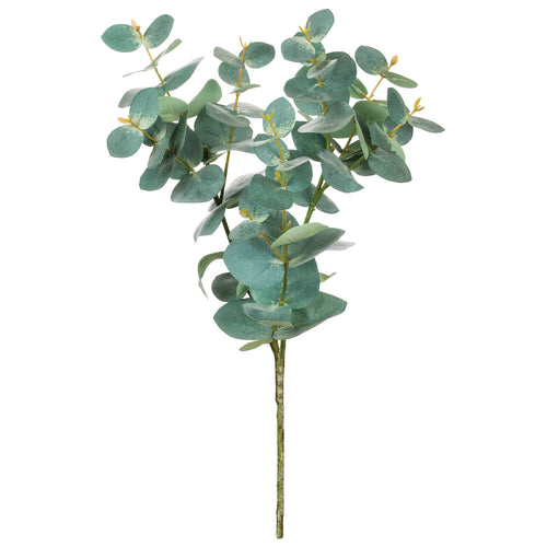 Blue Eucalyptus Spray