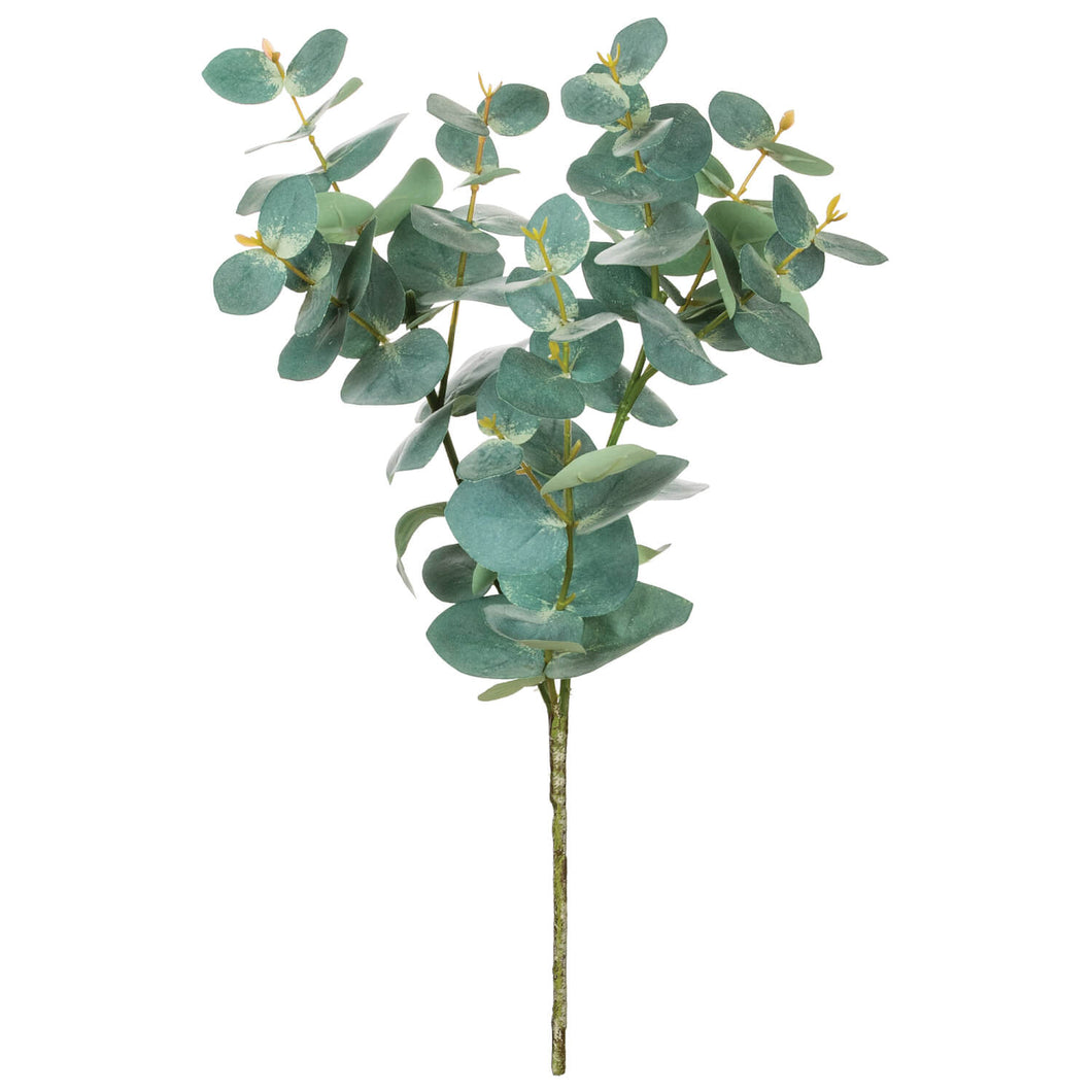 Blue Eucalyptus Spray