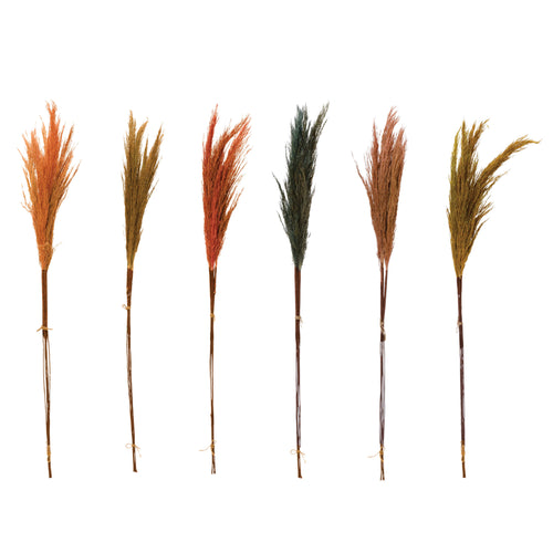 Dried Natural Pampas Grass - Multicolor