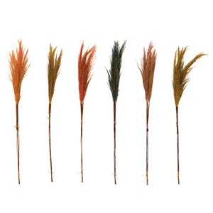 Dried Natural Pampas Grass - Multicolor