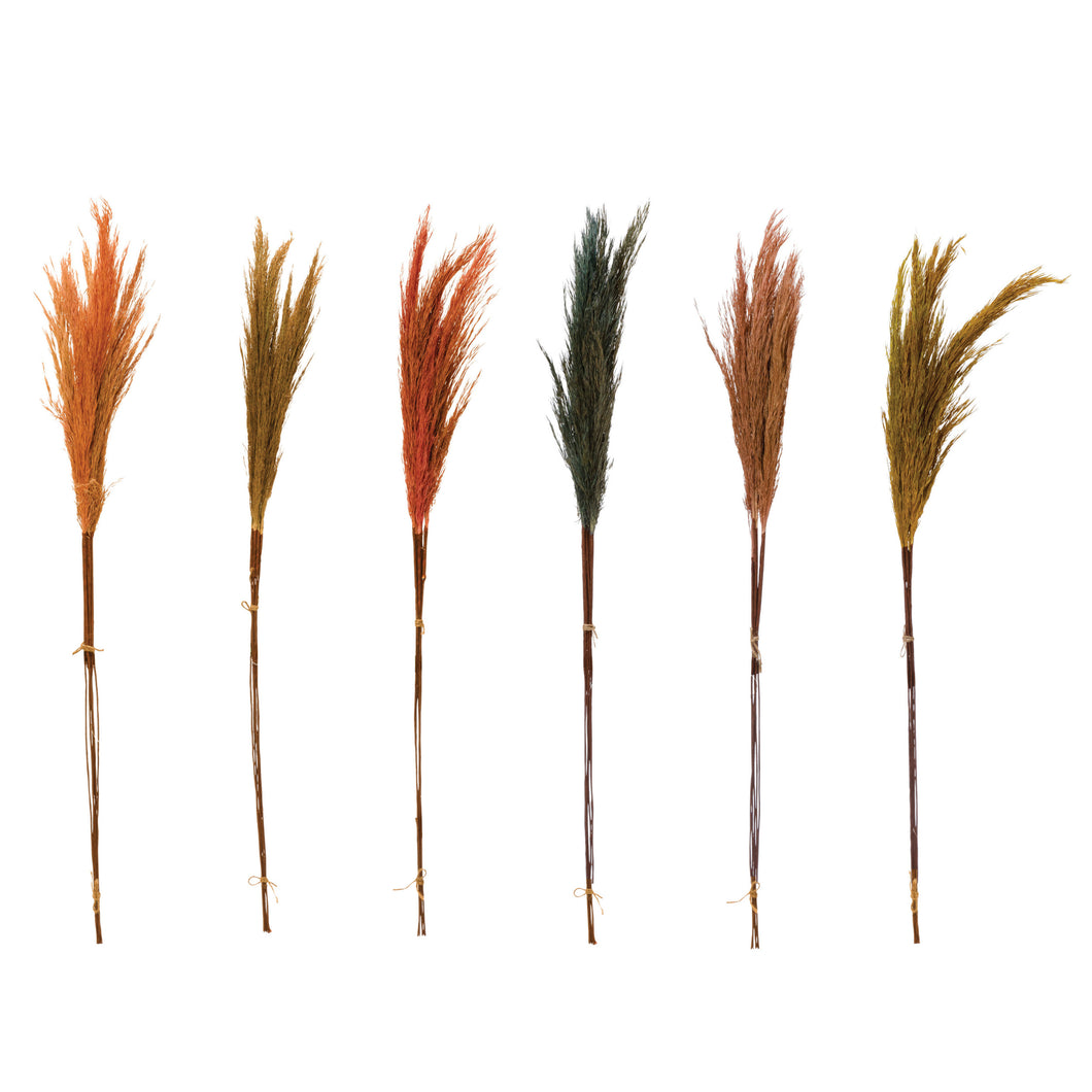 Dried Natural Pampas Grass - Multicolor