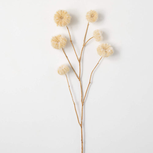 Faux Dried Cream-Colored Pods