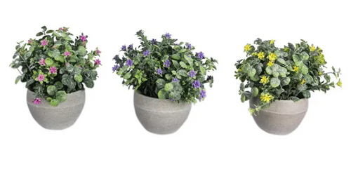 Flowers in Planter