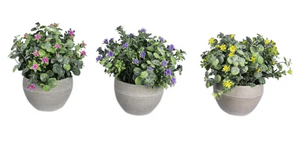 Flowers in Planter