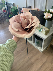 Foam Pink Rose