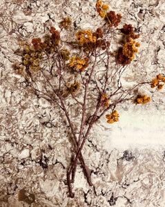 Irish Moss Spray